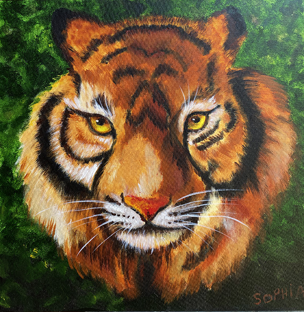 Tigre - 40 x 40 - AST - 2021
